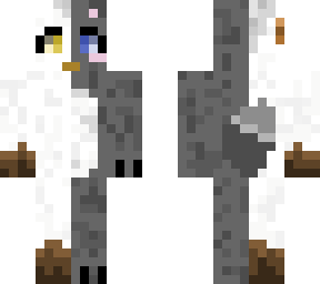 chinchilla x goat