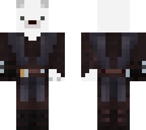 ice bear anakin