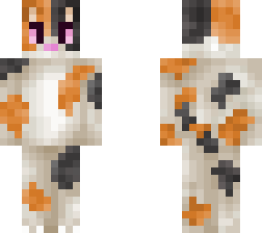 calico kitty