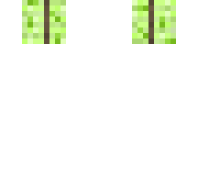 bundle of sugarcane