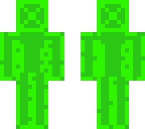main skin