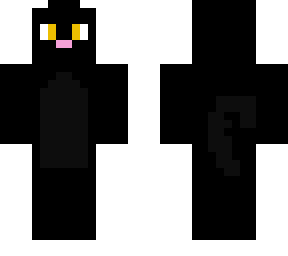 black cat