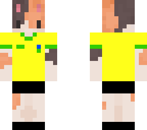 gatobrazil
