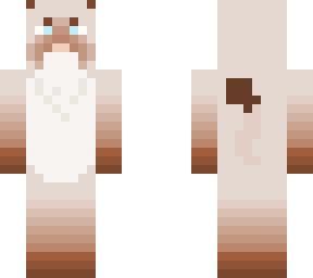 siamese cat
