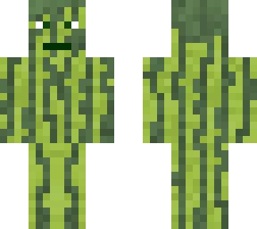watermelon skin