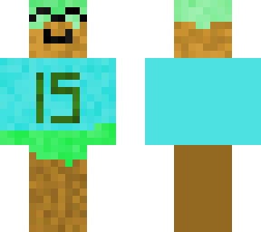 15 birthday minecraft!!!!!