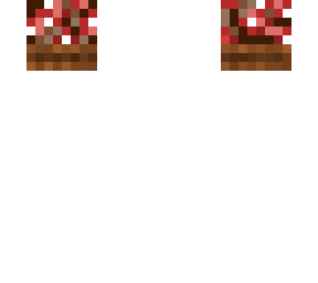 basket of red mushrooms