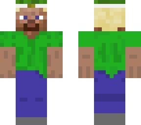 steve test