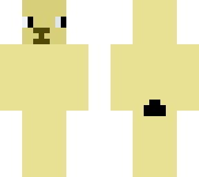 black tailed preire dog