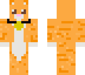 orange cat