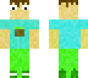 the minecraft boy
