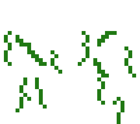 vines