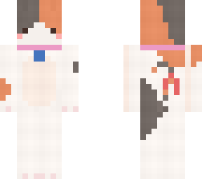 calico cat