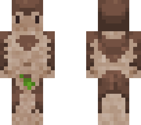 homo erectus