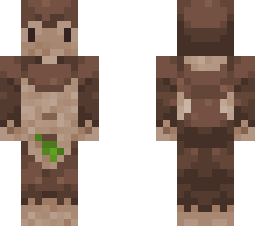 homo habilis