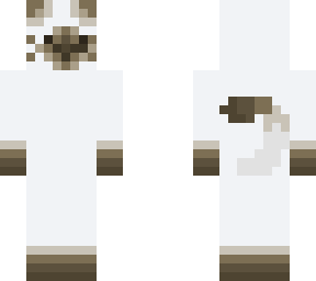 siamese meow