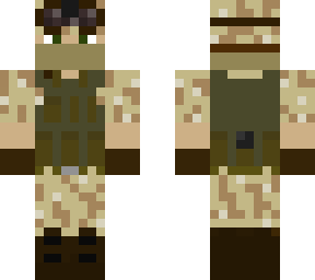 dss 1