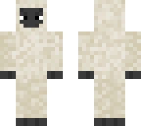 sheepip2