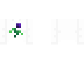 ob - white sweater w/ dark purple rose