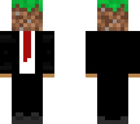 mr. minecraft