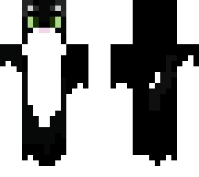 cream cat