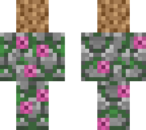 'soup' (minecraft dungeons)