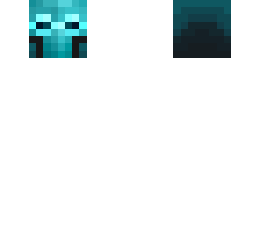 reinforced skin