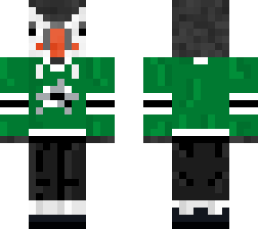 dallas stars puffin