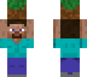 steve