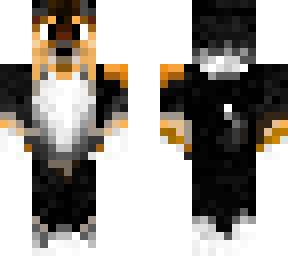 bearducci 3