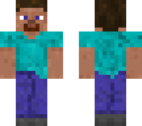 fresh reimagined steve