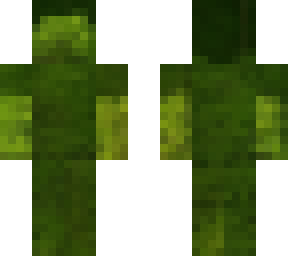 forest steve