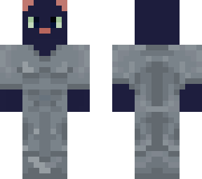 cat with armor