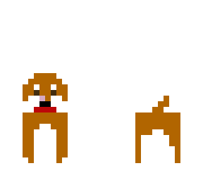 my dog