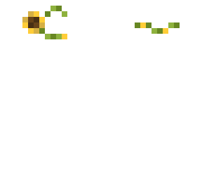 sunflower eyepatch