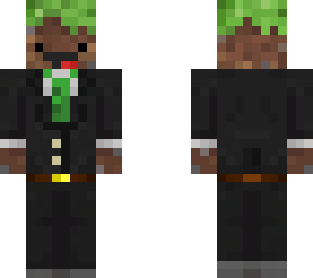 mr. minecraft
