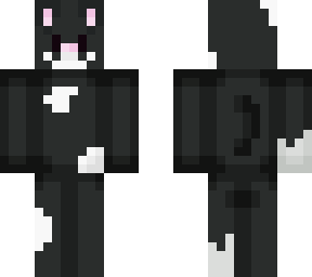 plain black and white cat.
