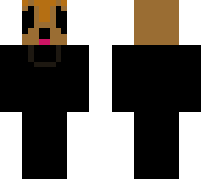 racoon