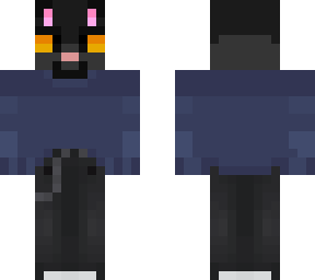 black cat