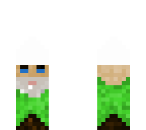 wizard gnome
