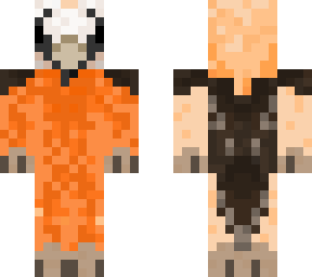 beardedvulture
