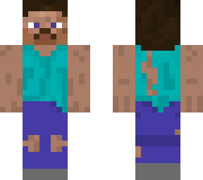 hobo steve