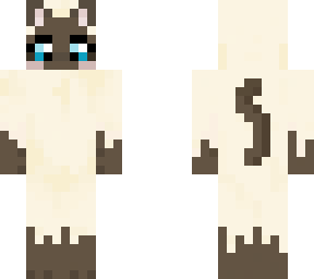 siamois cat