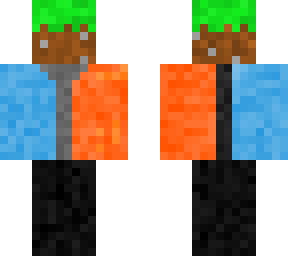 skin