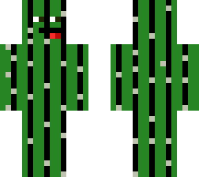 cactushollow