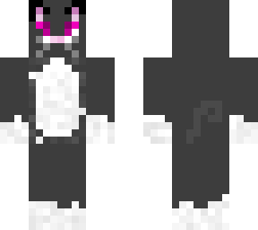 black and white cat