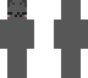 my cat