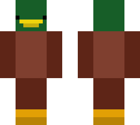 mallard duck