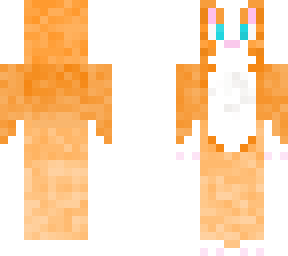 orange cat