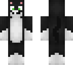 my cat